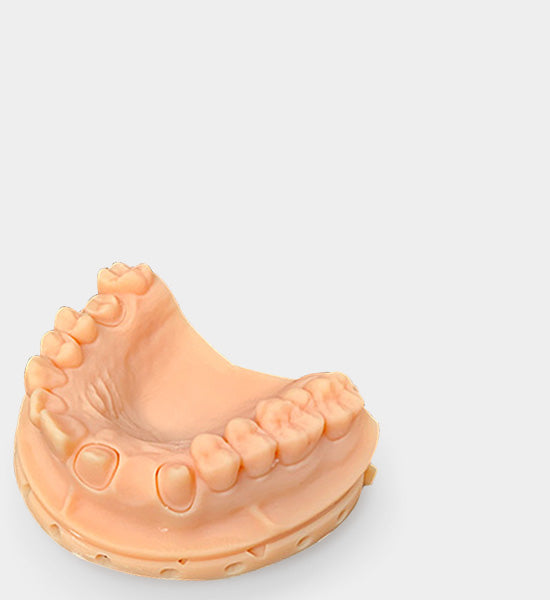 Print model
